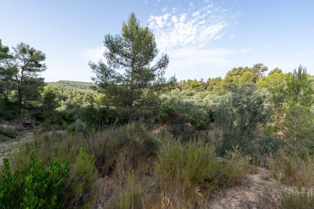 Finca/Herregård til salgs i Caseres - € 30 000 (Ref: 9964552)