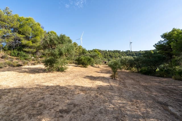 Finca/Herregård til salgs i Caseres - € 30 000 (Ref: 9964552)