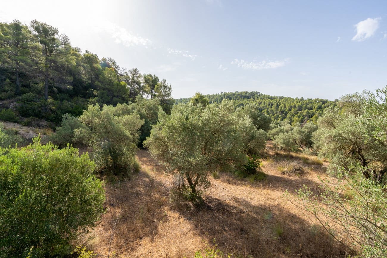 Finca/Country House for sale in Caseres - € 30,000 (Ref: 9964552)