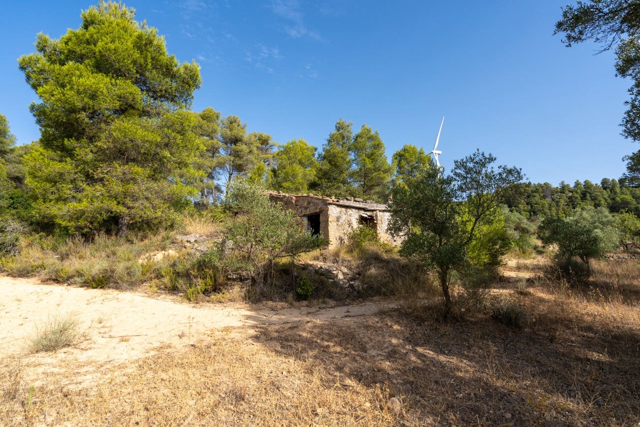 Finca/Country House for sale in Caseres - € 30,000 (Ref: 9964552)