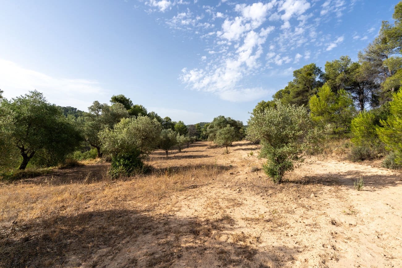 Finca/Country House for sale in Caseres - € 30,000 (Ref: 9964552)