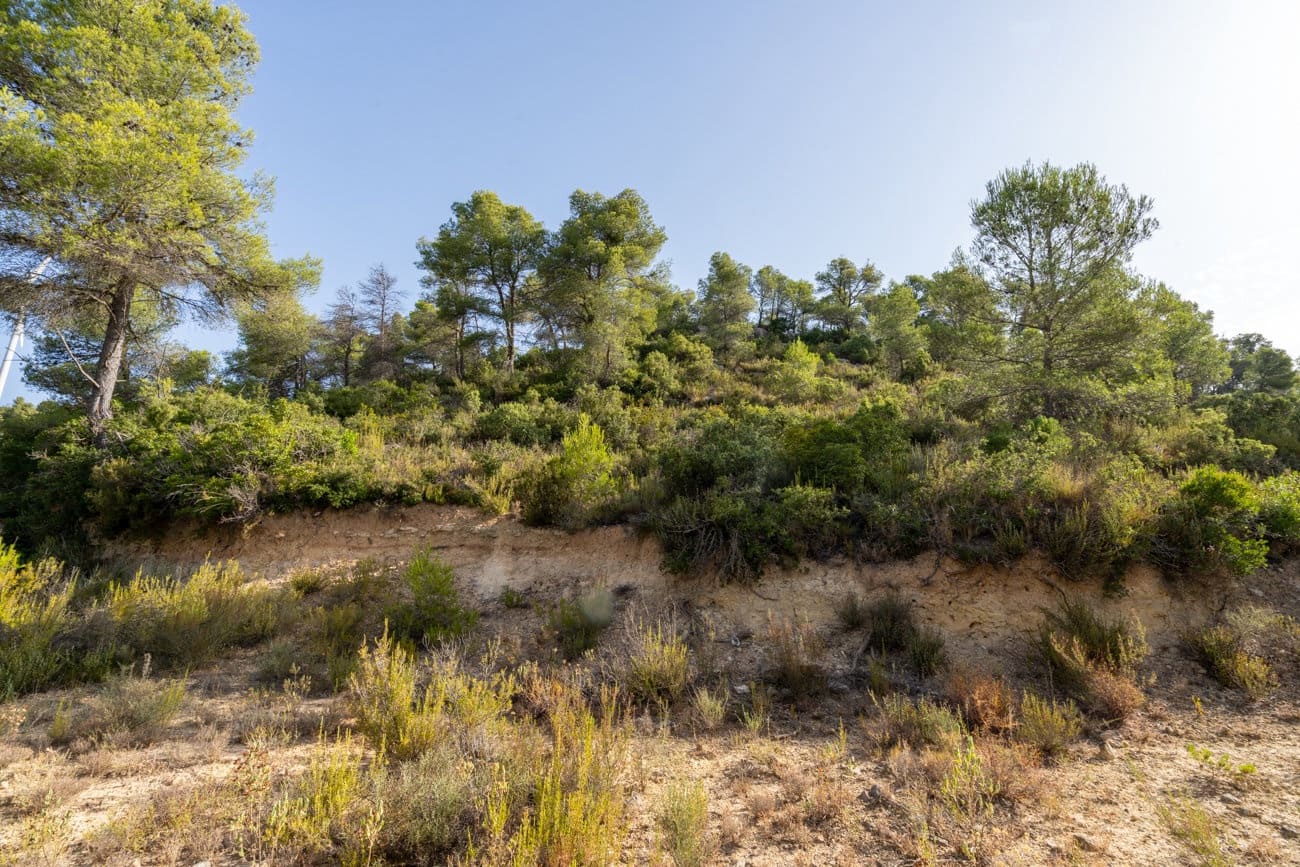 Finca/Country House for sale in Caseres - € 30,000 (Ref: 9964552)