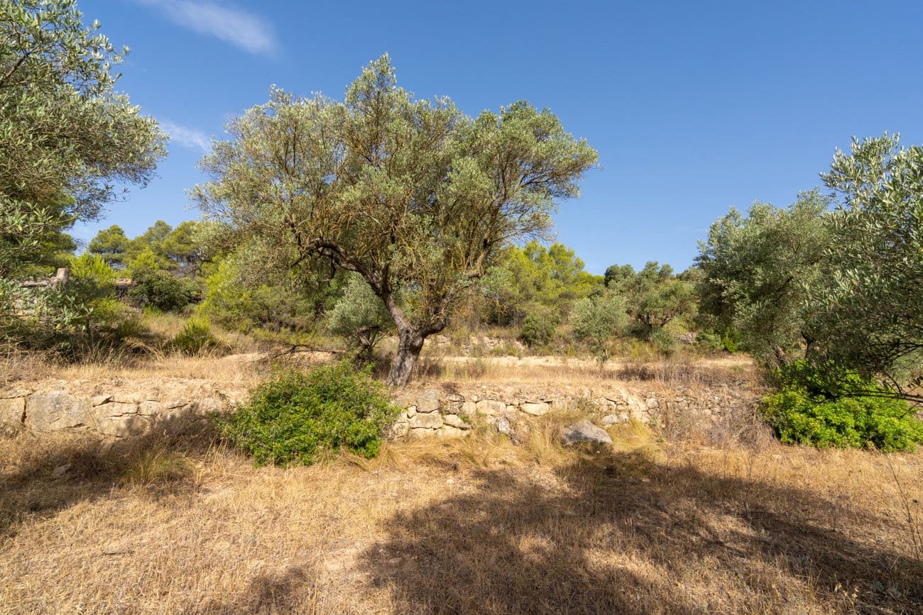 Finca/Country House for sale in Caseres - € 30,000 (Ref: 9964552)