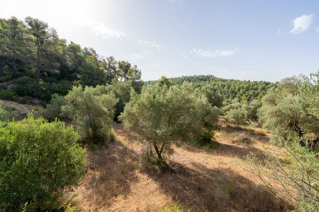 Finca/Herregård til salgs i Caseres - € 30 000 (Ref: 9964552)