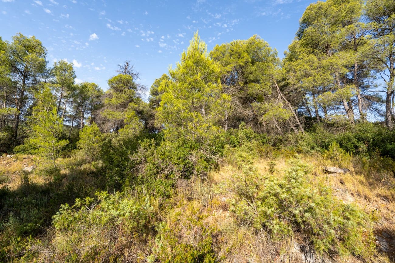 Finca/Country House for sale in Caseres - € 30,000 (Ref: 9964552)