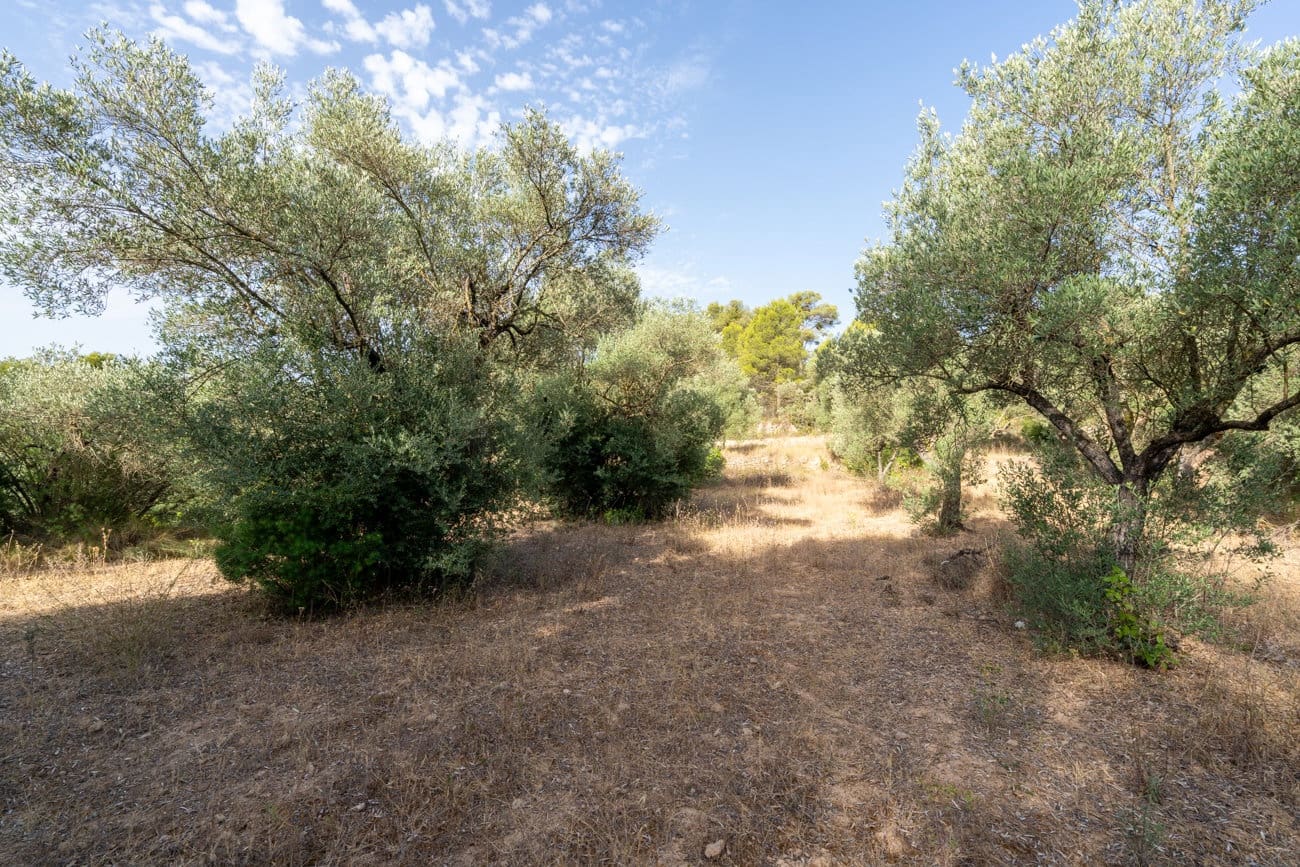 Finca/Country House for sale in Caseres - € 30,000 (Ref: 9964552)