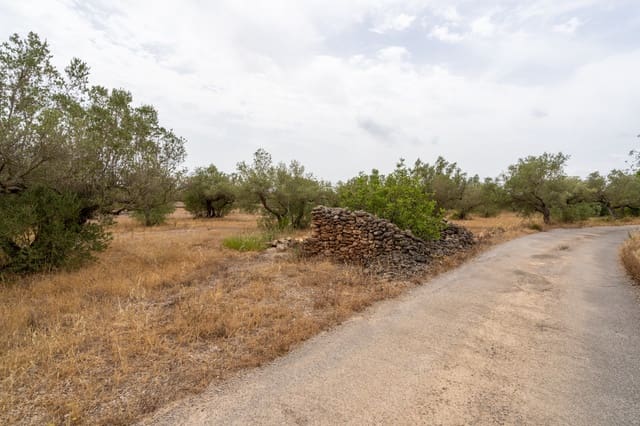 Finca/Casa di Campagna in vendita in Roquetes - 12.500 € (Rif: 9966898)