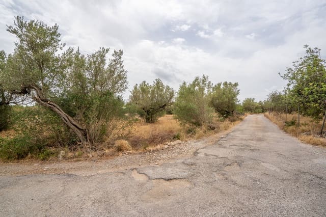 Finca/Casa di Campagna in vendita in Roquetes - 12.500 € (Rif: 9966898)