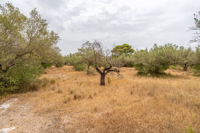 Finca/Casa di Campagna in vendita in Roquetes - 12.500 € (Rif: 9966898)