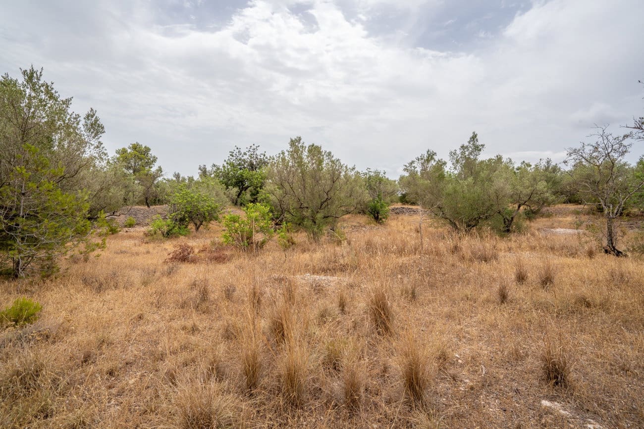 Finca/Casa di Campagna in vendita in Roquetes - 12.500 € (Rif: 9966898)