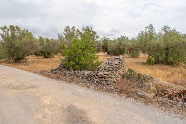 Finca/Casa di Campagna in vendita in Roquetes - 12.500 € (Rif: 9966898)