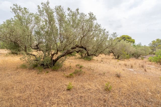 Finca/Casa di Campagna in vendita in Roquetes - 12.500 € (Rif: 9966898)