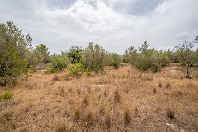 Finca/Casa di Campagna in vendita in Roquetes - 12.500 € (Rif: 9966898)