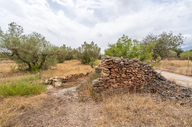 Finca/Casa di Campagna in vendita in Roquetes - 12.500 € (Rif: 9966898)