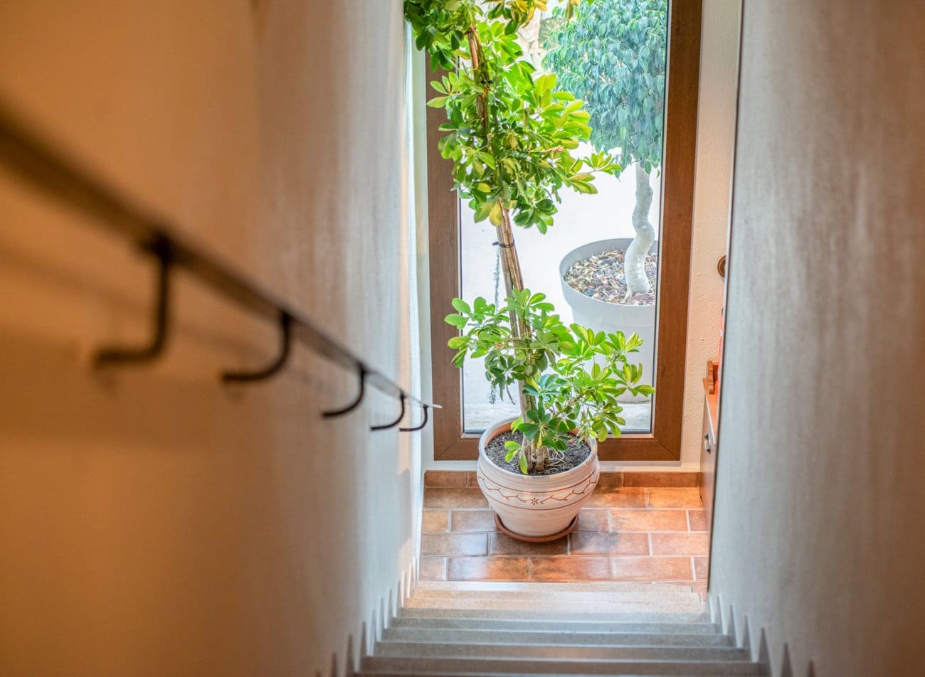 10 bedroom Finca/Country House for sale in Deltebre with pool - € 1,298,000 (Ref: 9967969)