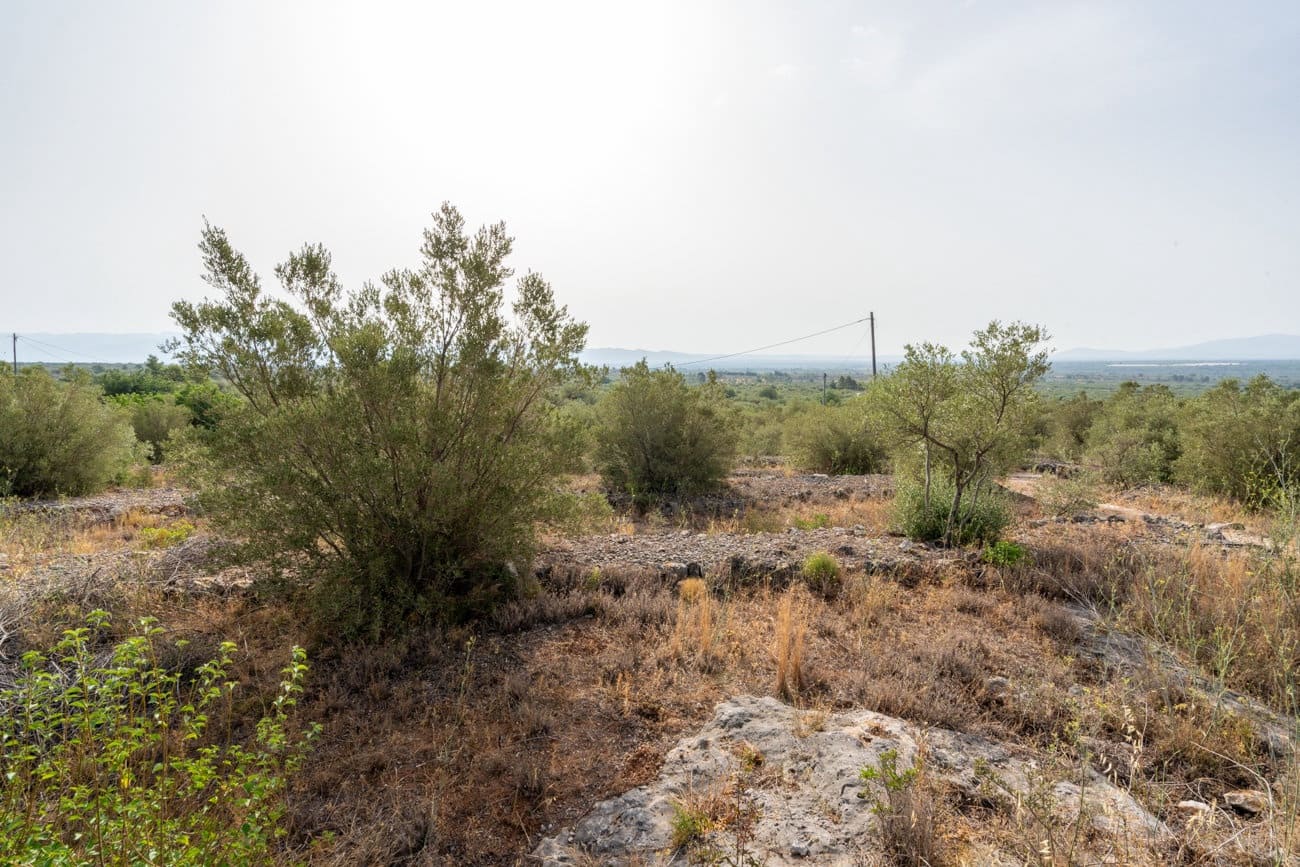 Finca/Casa Rural de 1 habitación en Roquetes en venta - 73.000 € (Ref: 9976628)