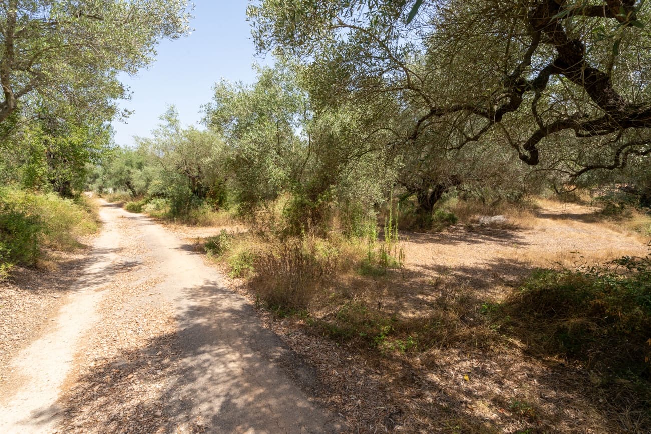 2 slaapkamer Finca/Landhuis te koop in Masdenverge - € 60.000 (Ref: 9979232)