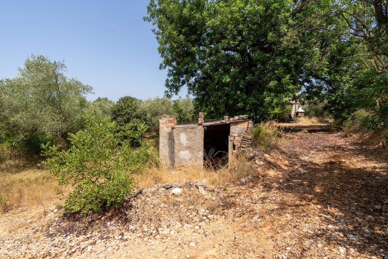 2 slaapkamer Finca/Landhuis te koop in Masdenverge - € 60.000 (Ref: 9979232)