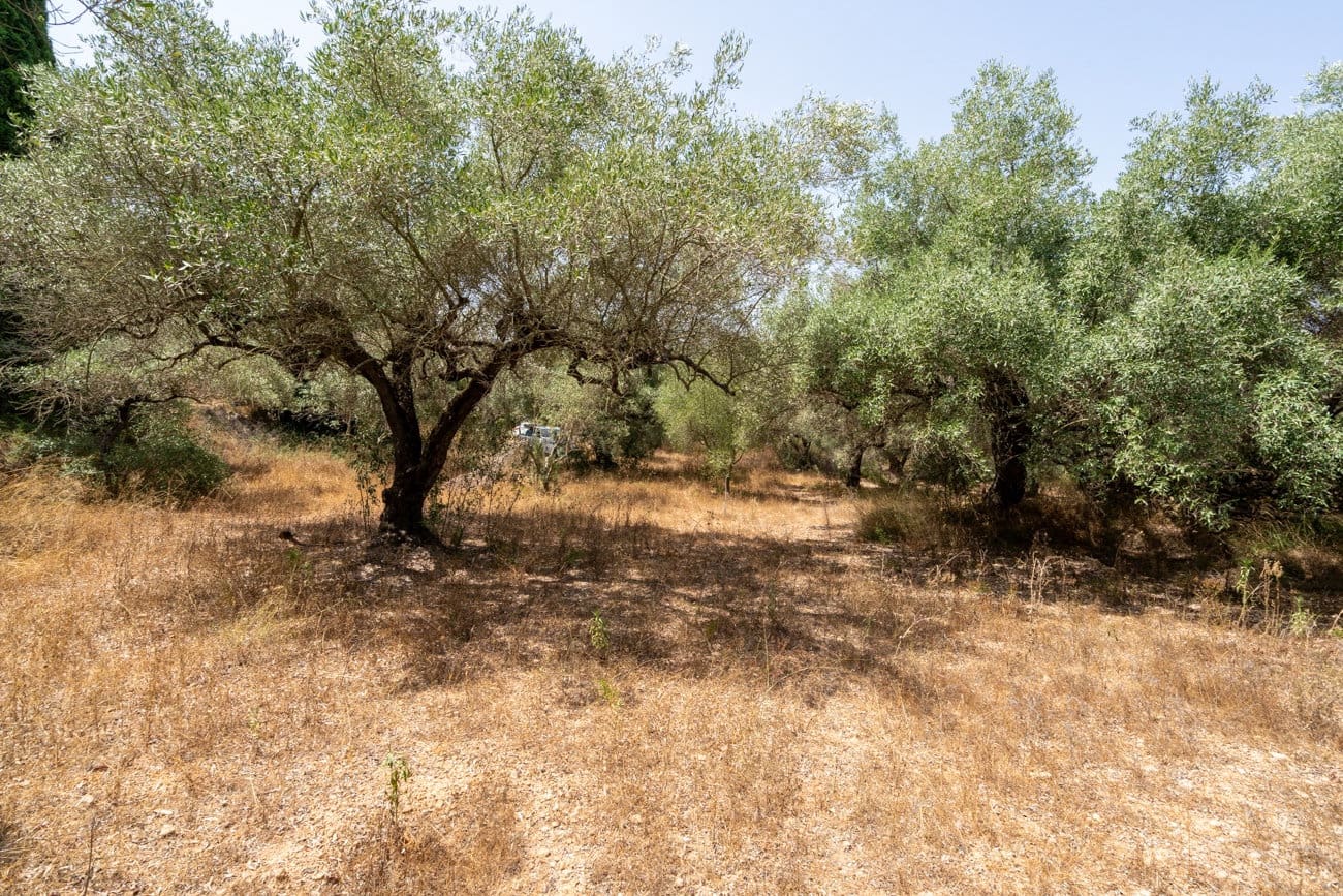 2 slaapkamer Finca/Landhuis te koop in Masdenverge - € 60.000 (Ref: 9979232)