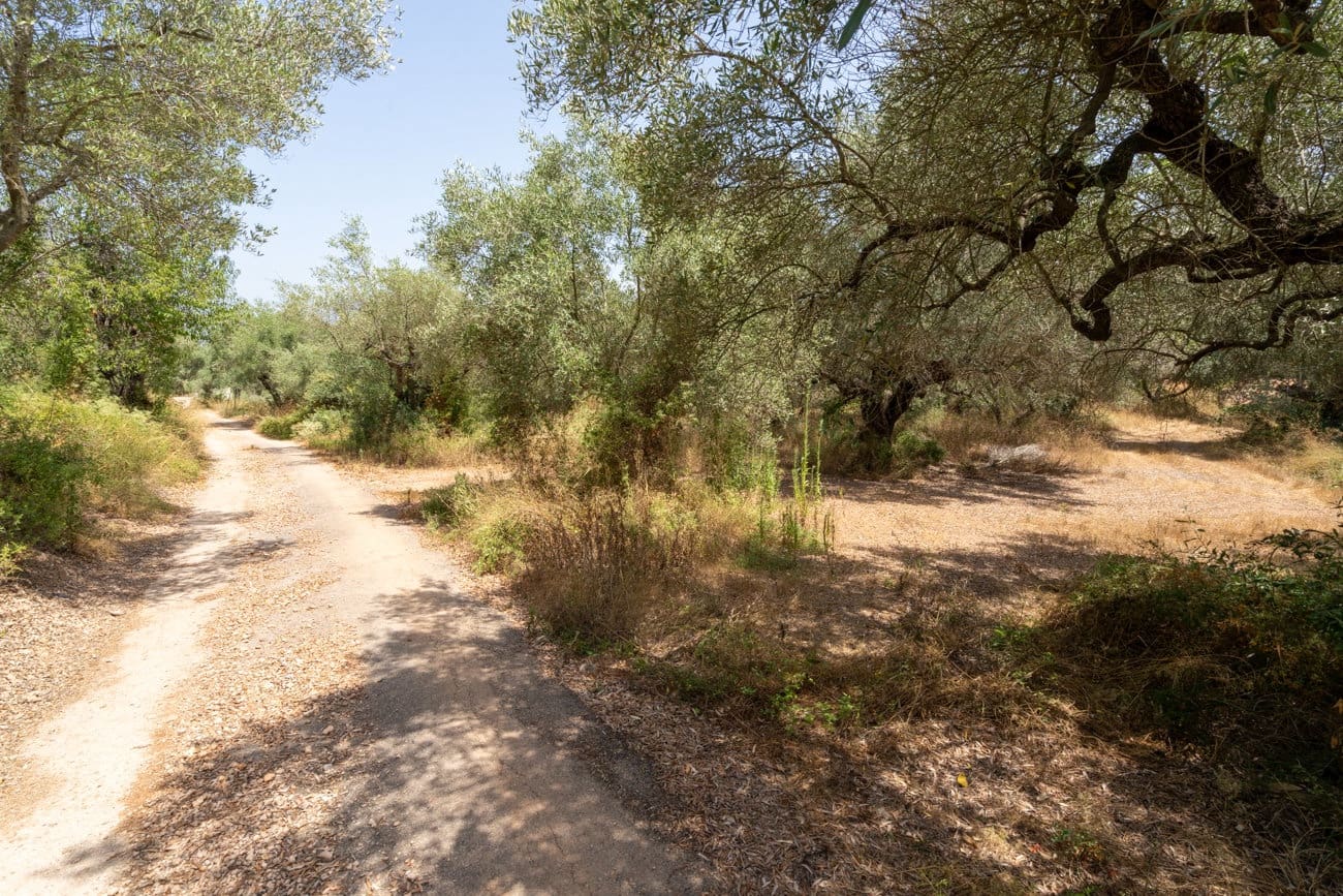 2 slaapkamer Finca/Landhuis te koop in Masdenverge - € 60.000 (Ref: 9979232)