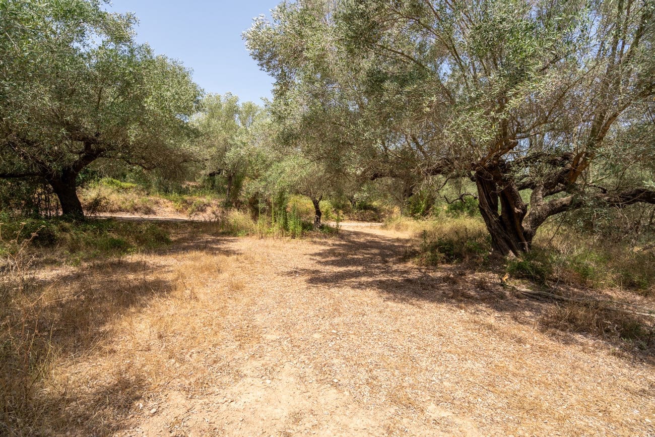 2 slaapkamer Finca/Landhuis te koop in Masdenverge - € 60.000 (Ref: 9979232)