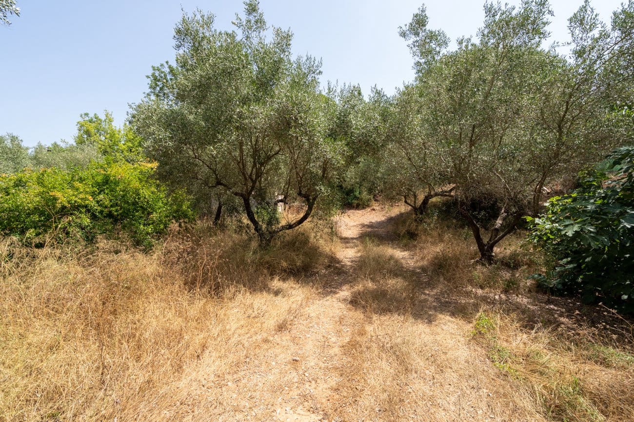 2 slaapkamer Finca/Landhuis te koop in Masdenverge - € 60.000 (Ref: 9979232)