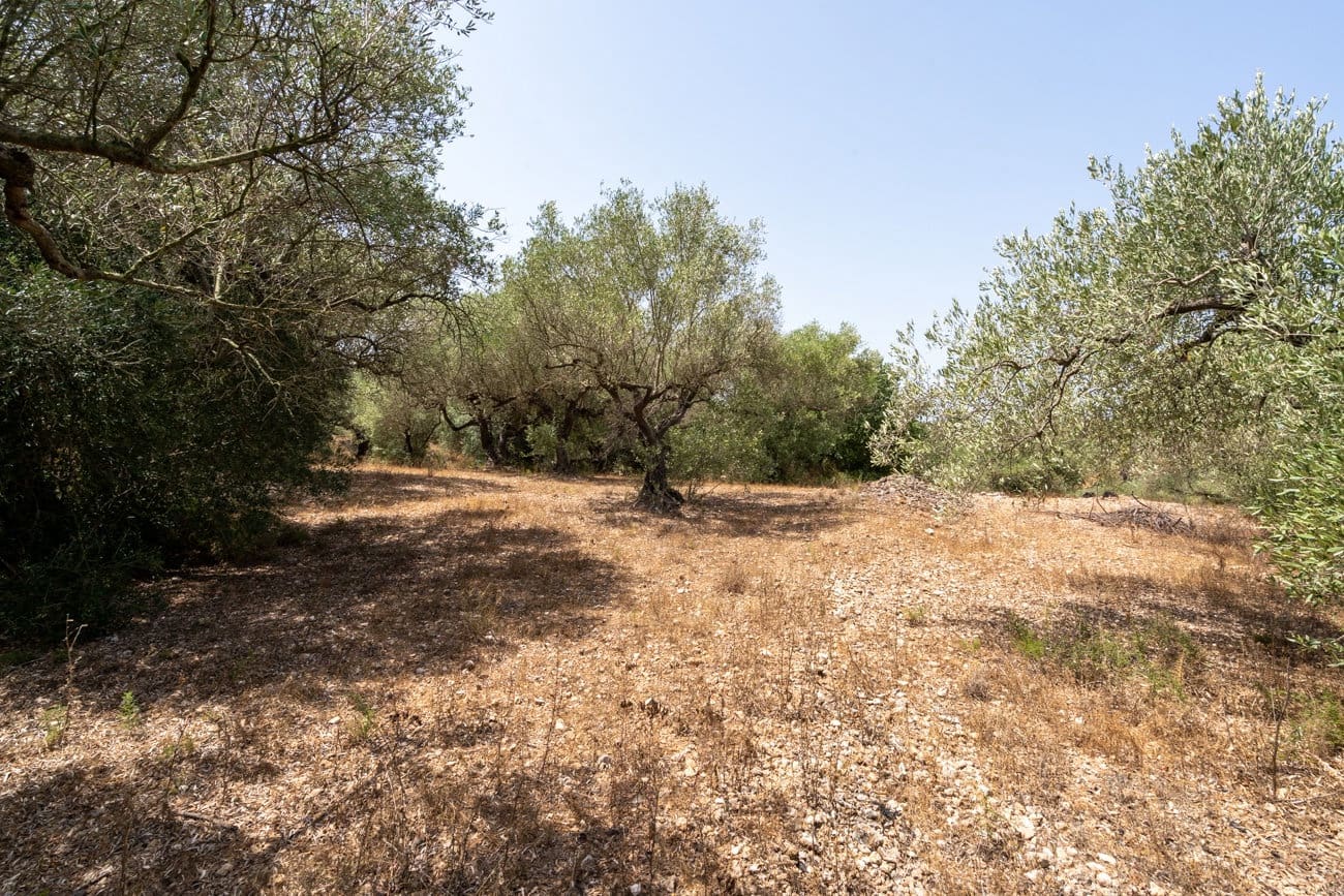 2 slaapkamer Finca/Landhuis te koop in Masdenverge - € 60.000 (Ref: 9979232)
