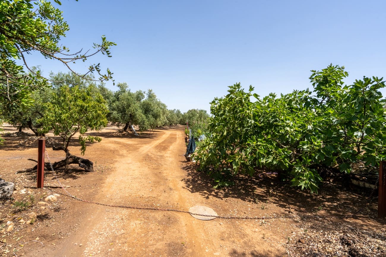 2 soveværelse Finca/Landehus til salg i Godall - € 70.000 (Ref: 9994680)