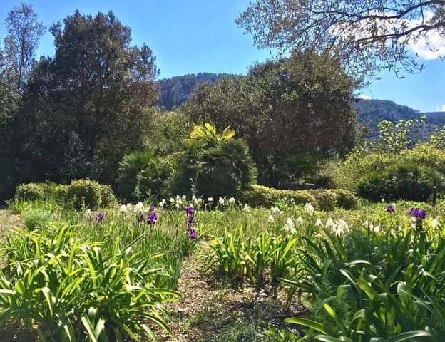 6 soverom Finca/Herregård til salgs i Esporles - € 5 500 000 (Ref: 6731978)