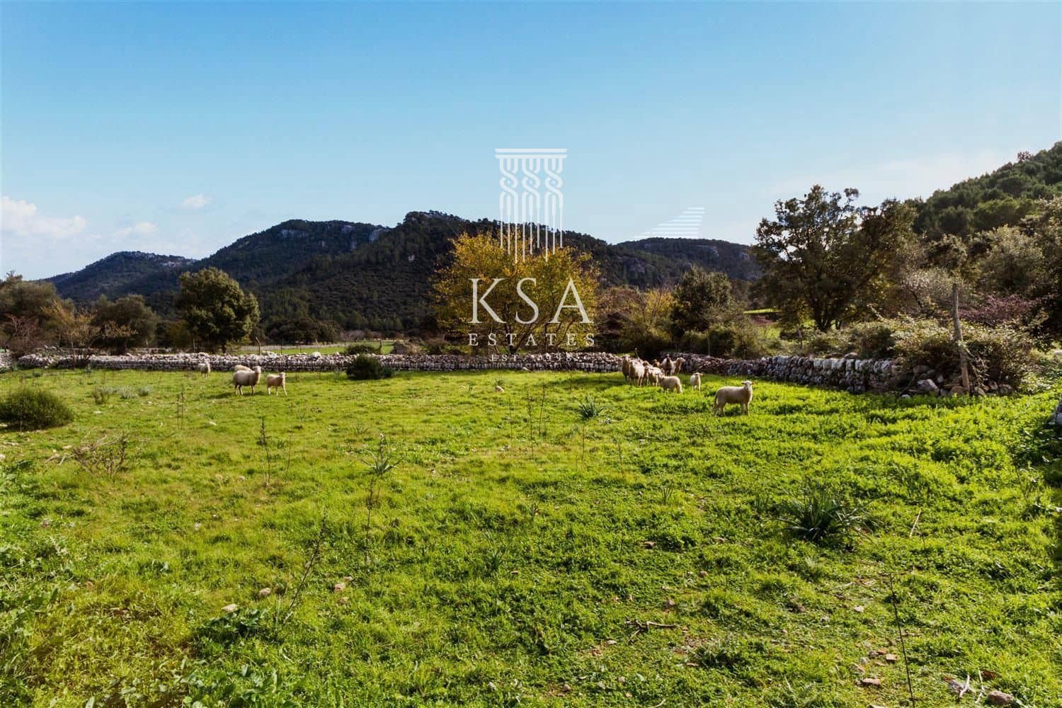 6 soveværelse Finca/Landehus til salg i Bunyola med swimmingpool - € 6.000.000 (Ref: 7132247)