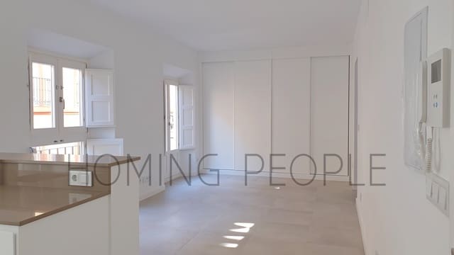 Piso de 1 habitación en San Felipe Neri, Málaga ciudad en alquiler - 1.075 € (Ref: 10063866)