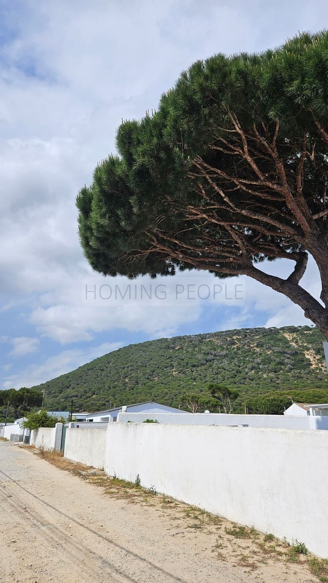 2 sovrum Hus att hyra i Barbate med pool - 900 € (Ref: 9132158)