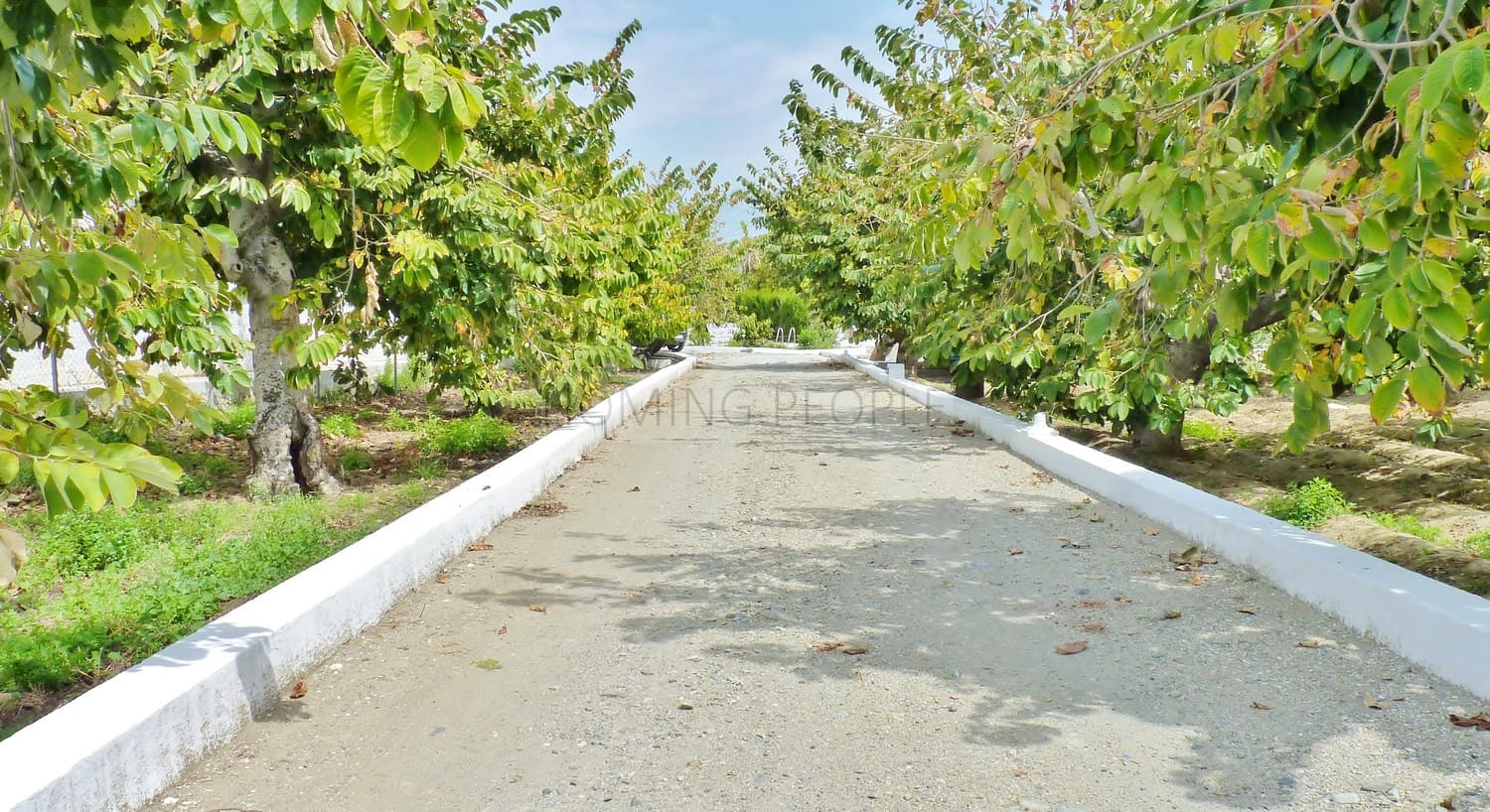 5 quarto Casa em Banda para arrendar em Almunecar com piscina - 2 300 € (Ref: 9395779)