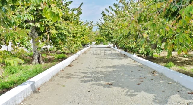 5 sovrum Hus att hyra i Almuñécar med pool - 2 300 € (Ref: 9395779)