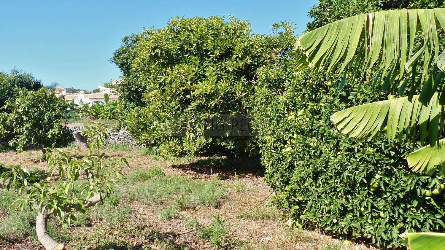 5 quarto Casa em Banda para arrendar em Almunecar com piscina - 2 300 € (Ref: 9395779)
