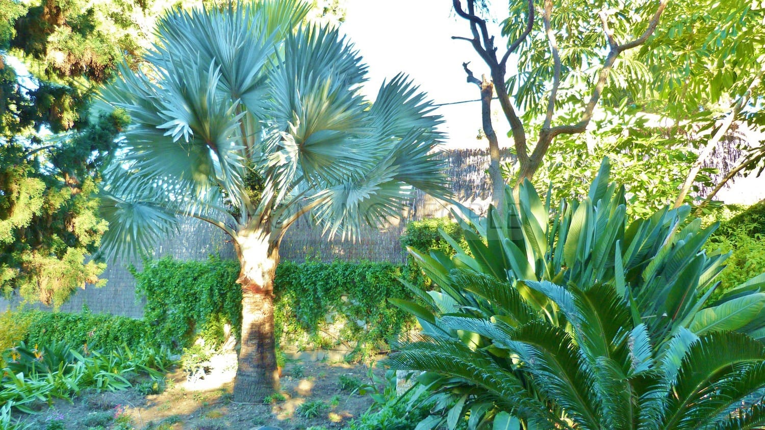 4 bedroom Villa for rent in La Herradura with pool garage - € 3,000 (Ref: 9719685)