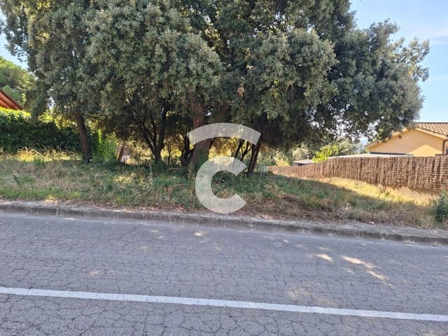 Terre non Aménagée à vendre à Seva - 85 000 € (Ref: 10123344)