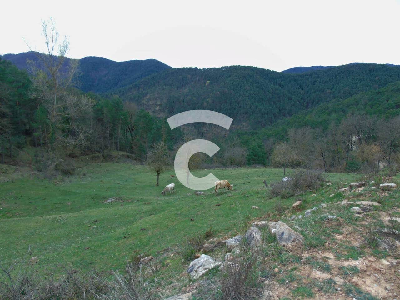 6 camera da letto Finca/Casa di Campagna in vendita in Ripoll con piscina garage - 950.000 € (Rif: 9331138)