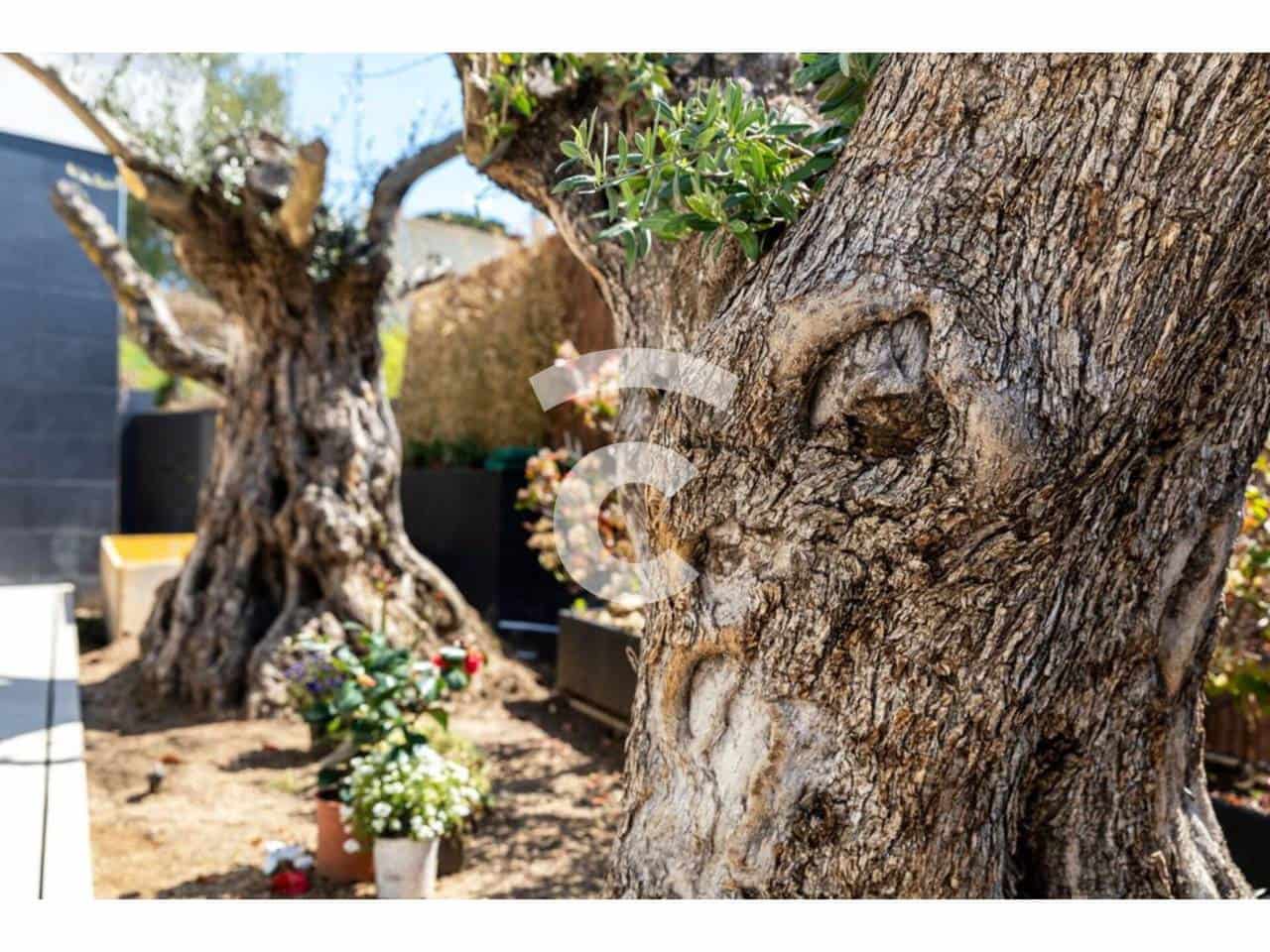 6 bedroom Villa for sale in Castell-Platja d'Aro with pool garage - € 3,000,000 (Ref: 9332677)