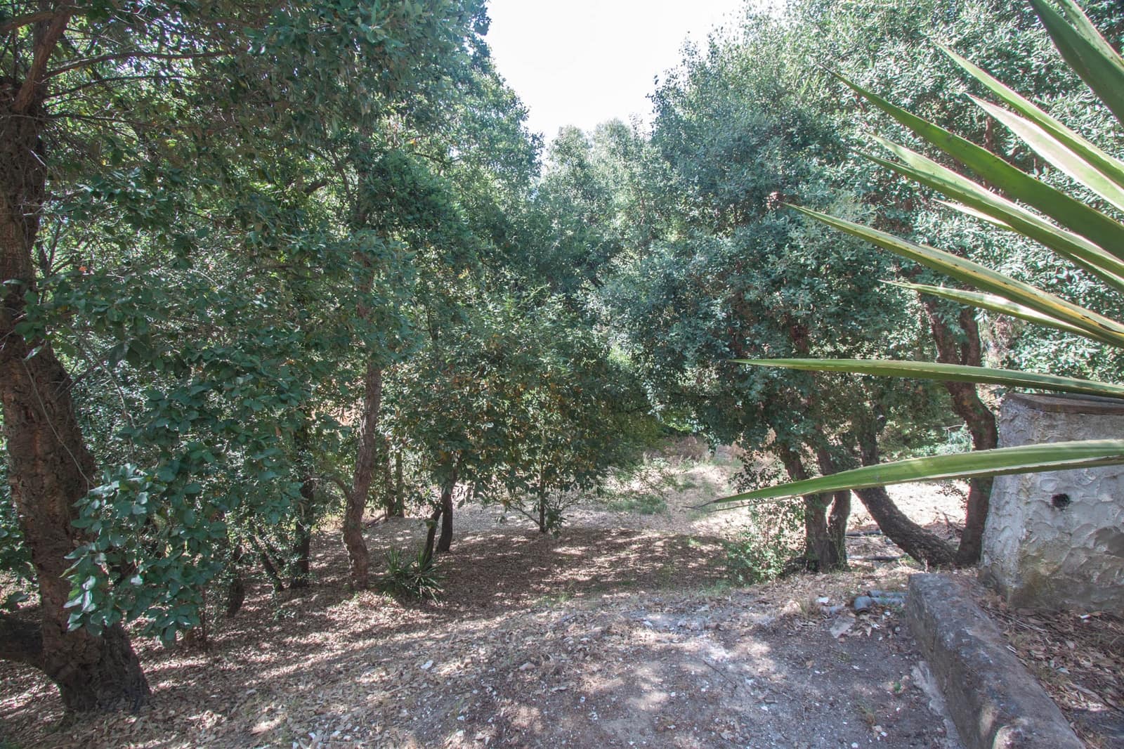 3 soveværelse Finca/Landehus til salg i Casares med swimmingpool - € 650.000 (Ref: 6994521)