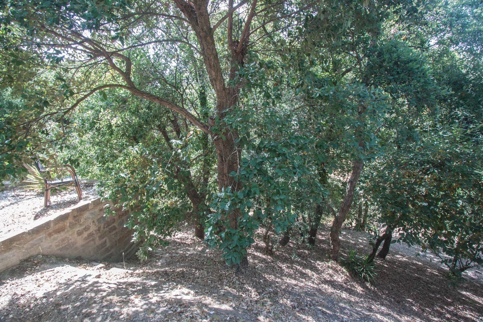 3 soveværelse Finca/Landehus til salg i Casares med swimmingpool - € 650.000 (Ref: 6994521)