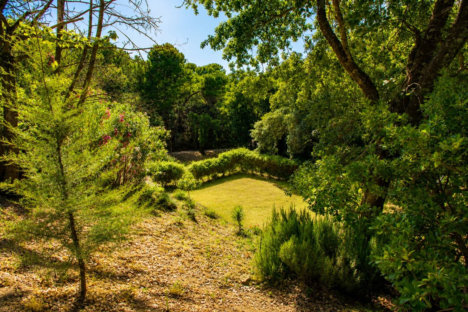 3 Zimmer Finca/Landgut zu verkaufen in Casares mit Pool Garage - 650.000 € (Ref: 6994521)