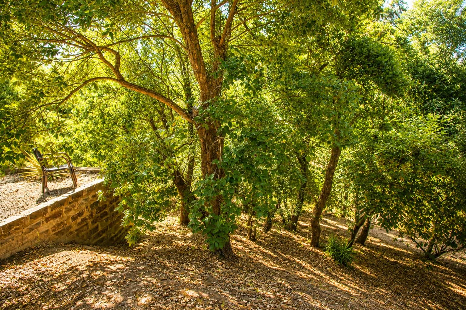 3 Zimmer Finca/Landgut zu verkaufen in Casares mit Pool Garage - 650.000 € (Ref: 6994521)