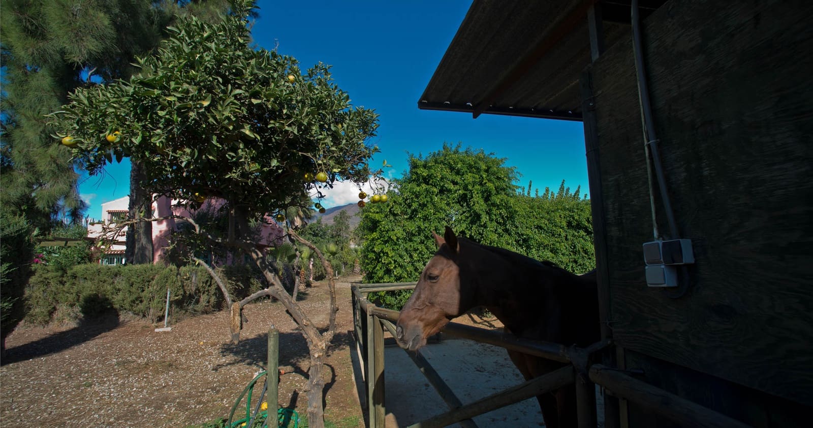 3 Zimmer Finca/Landgut zu verkaufen in Estepona mit Garage - 799.000 € (Ref: 7401978)