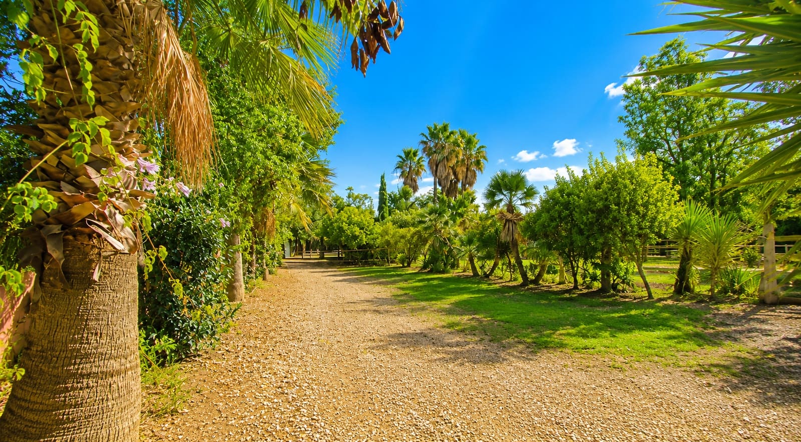 3 slaapkamer Finca/Landhuis te koop in Estepona met garage - € 875.000 (Ref: 7401978)