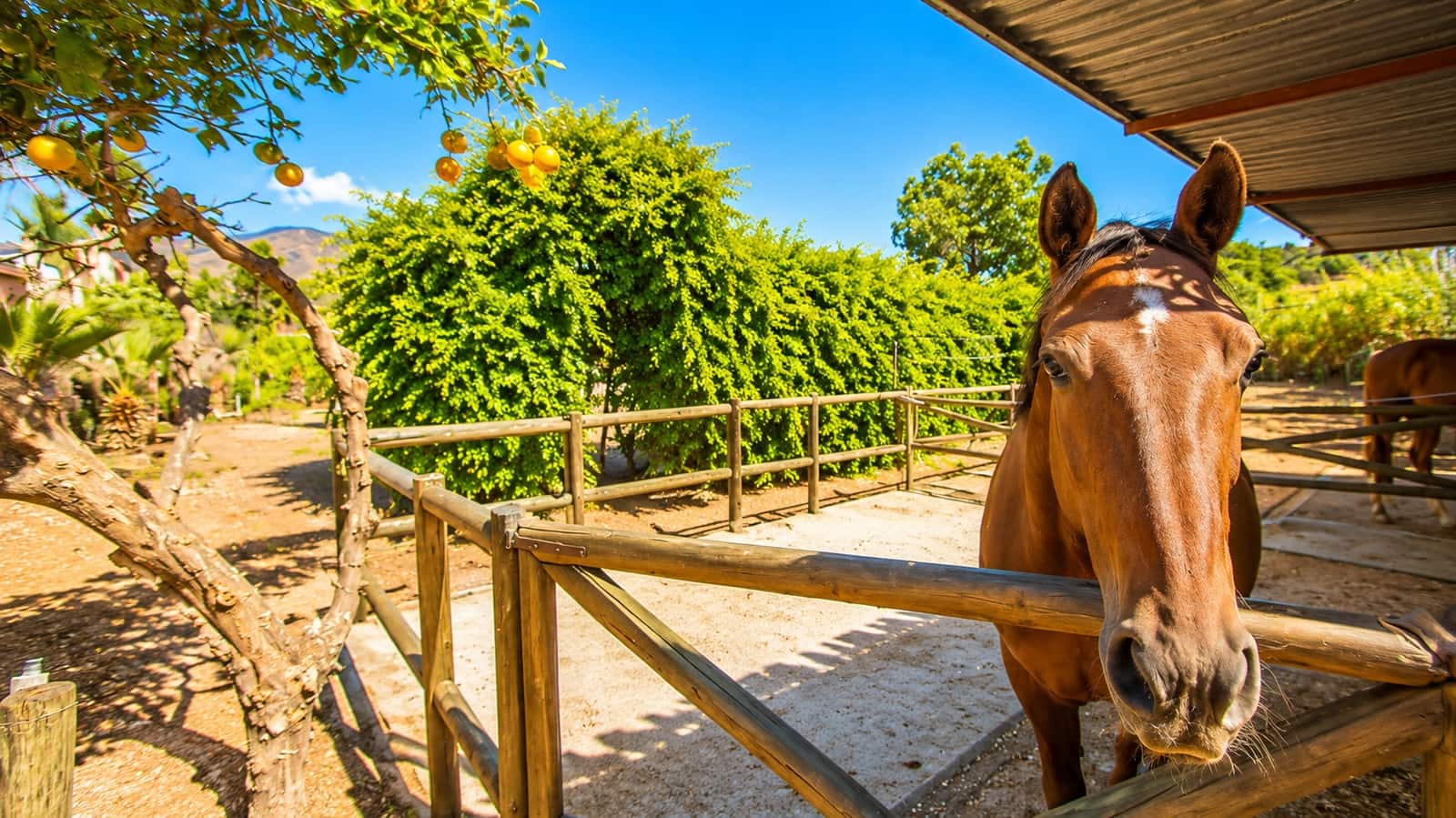 3 slaapkamer Finca/Landhuis te koop in Estepona met garage - € 875.000 (Ref: 7401978)