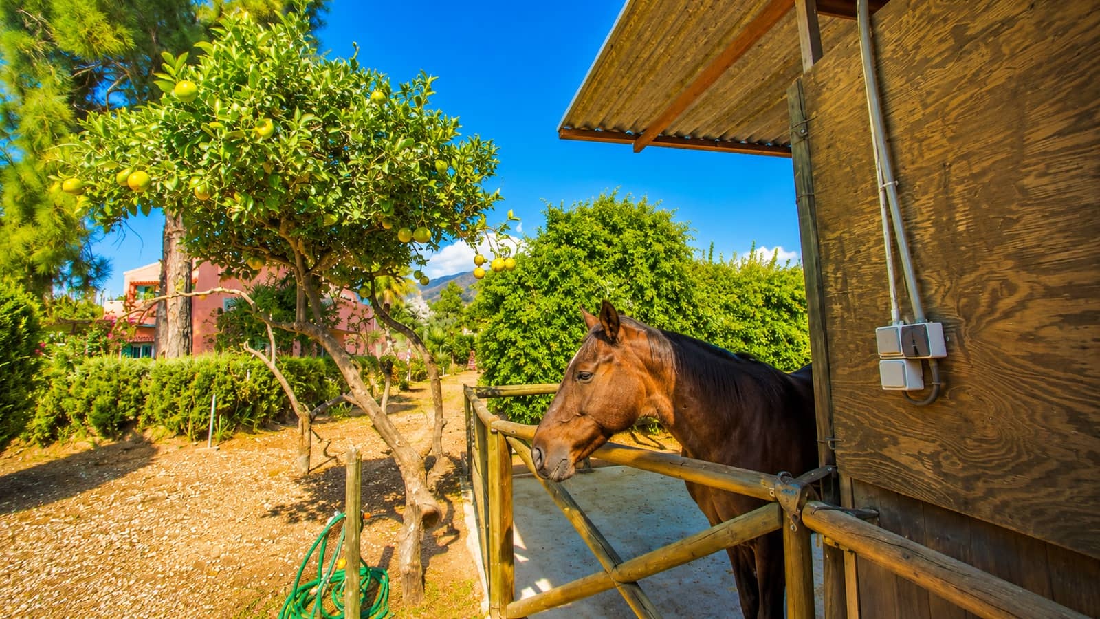 3 slaapkamer Finca/Landhuis te koop in Estepona met garage - € 875.000 (Ref: 7401978)