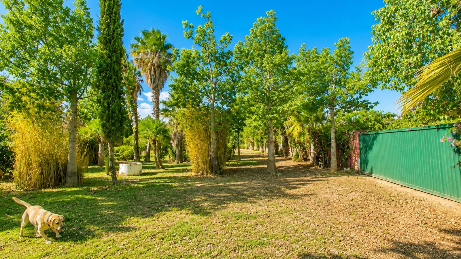 3 slaapkamer Finca/Landhuis te koop in Estepona met garage - € 875.000 (Ref: 7401978)