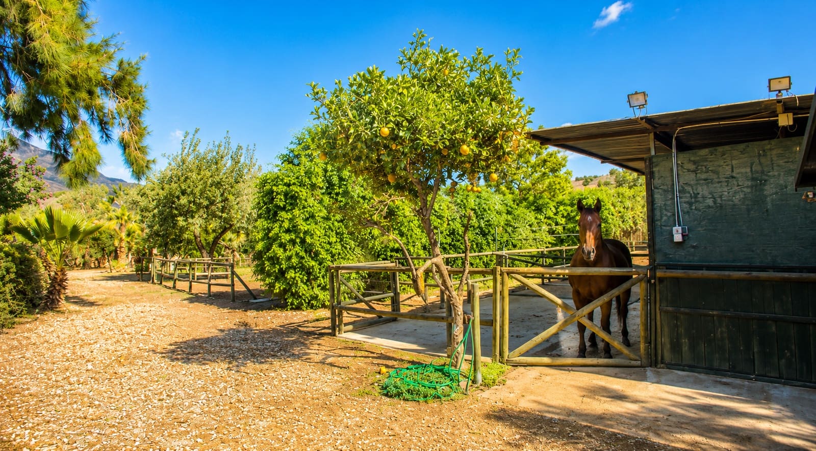 3 slaapkamer Finca/Landhuis te koop in Estepona met garage - € 875.000 (Ref: 7401978)