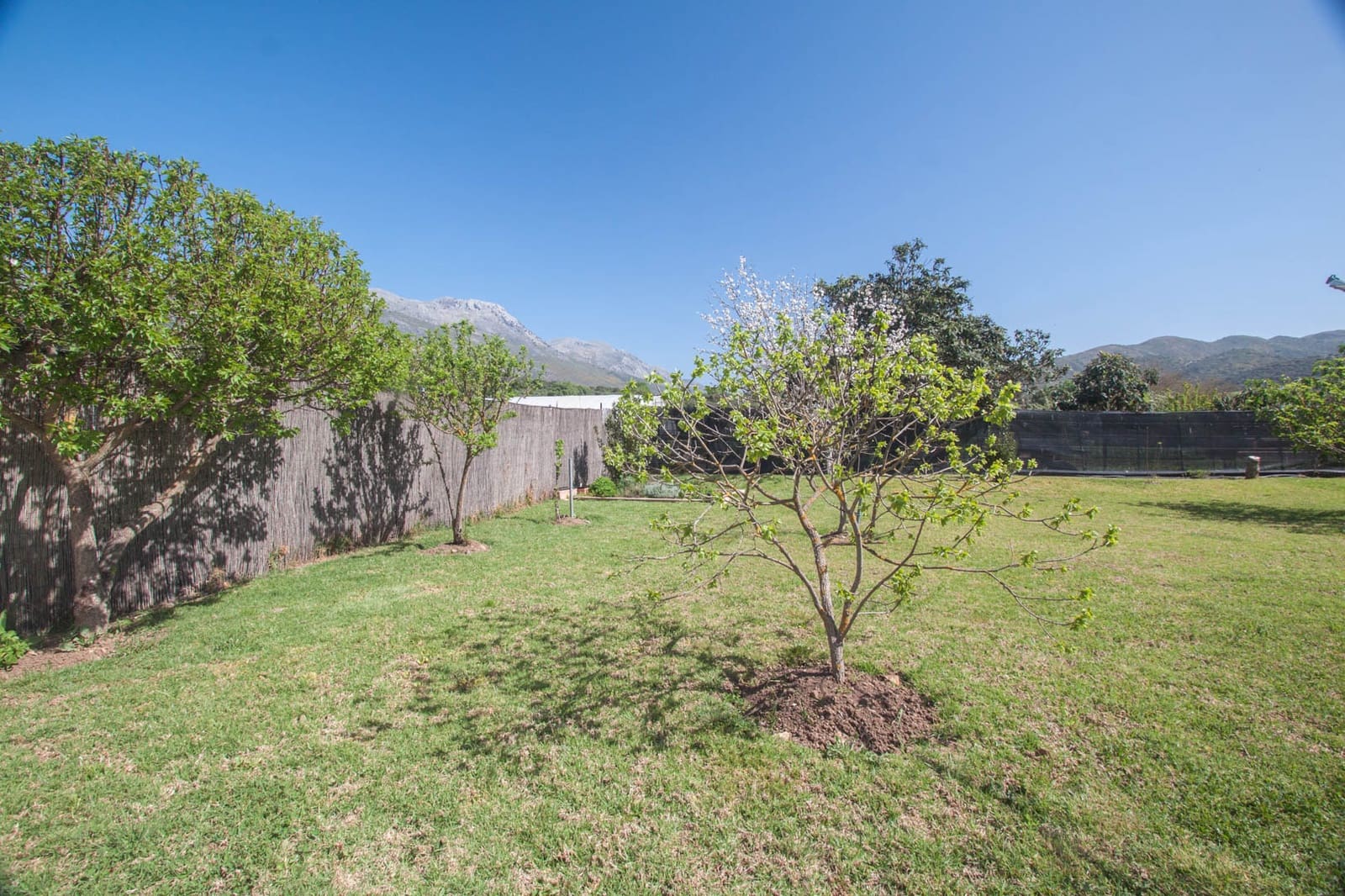 5 soveværelse Finca/Landehus til salg i Cortes de la Frontera med swimmingpool - € 399.950 (Ref: 7506633)